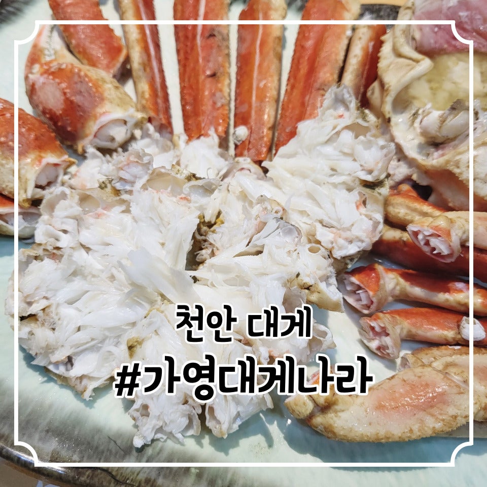 가영대게나라 사진 1
