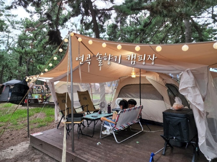  11. 연곡 솔향기 캠핑장_노스피크 포레스트 쉐이드 맥스 첫피칭