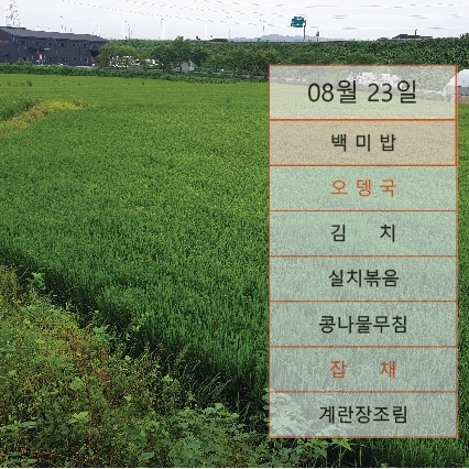  { 8월 23일 점심 }        메뉴안성, 용인 ,평택 ,도시락 배달, 회사. 공장.물류센타.점심식사배달,공장식사배달,뷔페식도시락배달전문