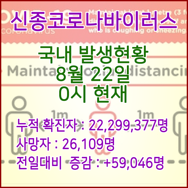  코로나19(코로나바이러스) 8월 22일 0시 신규확진자 59,046명 / 사망자 26,109명