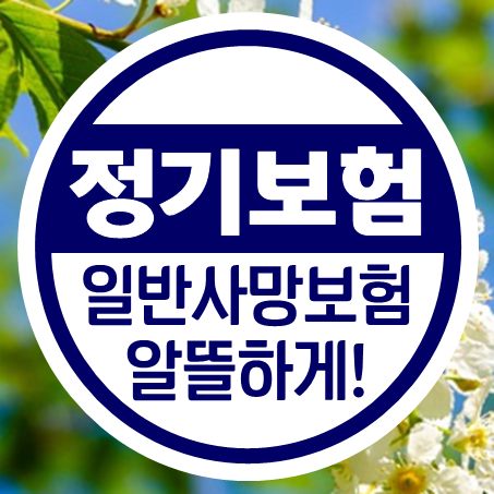 유병자정기보험 추천, 알뜰하게 일반사망보험금을 가입할 수 있어요!