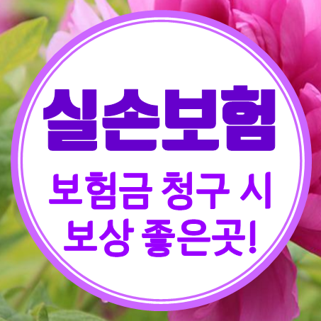  단독실손보험 비교, 실비 청구했을 때 원활한 보상이 가능한 곳으로!