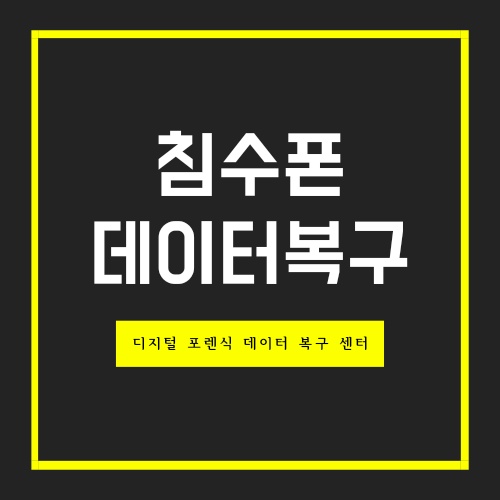  광주 워터파크 침수폰 데이터 복구 ( 카톡, 사진, 동영상, 문자, 연락처)