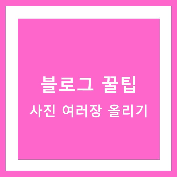  블로그 사진 여러 장 올리는 방법