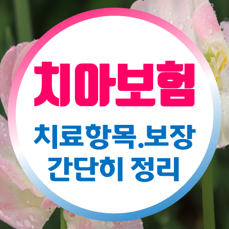  비갱신형치아보험 치료 항목과 보장내용을 간단히 정리했어요.