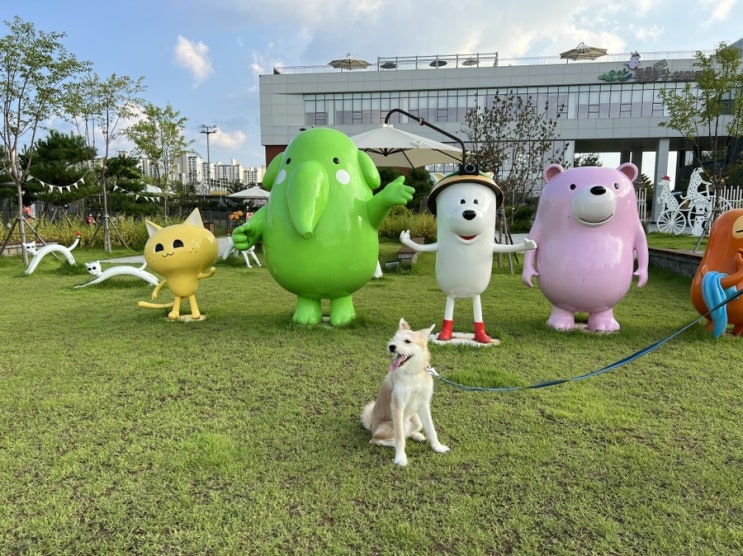  오산 | 반려동물테마파크 (동물농장 TV테마파크) 솔직 후기