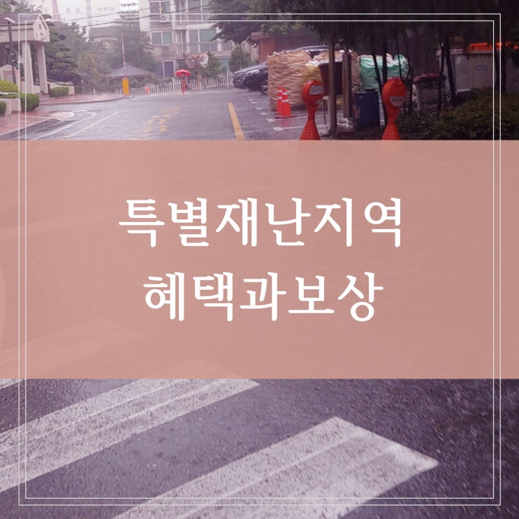  특별재난지역 우선 선포된 구역 10곳 혜택과 보상은? (영등포구, 관악구, 강남구)