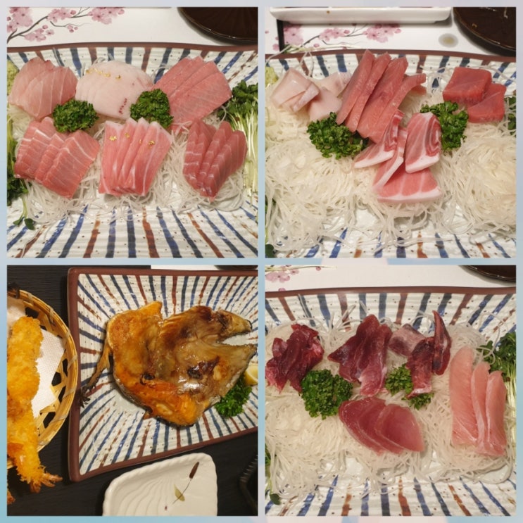 포항 양덕동 참치맛집 "대양참치" 방문후기 (특선코스) 포항 양덕동 참치맛집 "대양참치" 방문후기 (특선코스)