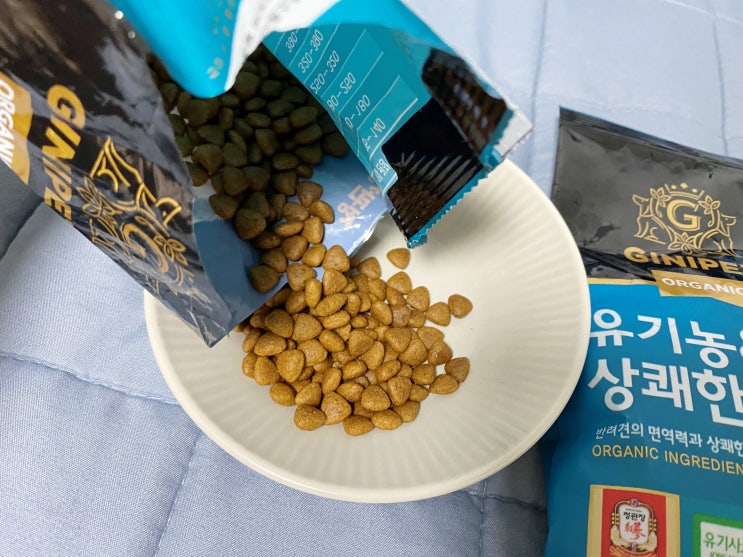  밥안먹는강아지 더위에 지친 반려견을 위해 준비했어요