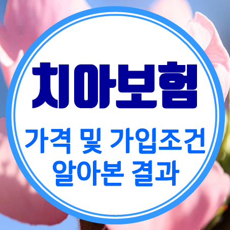  30대치아보험 가격 및 가입 조건을 직접 알아본 결과를 올렸어요!