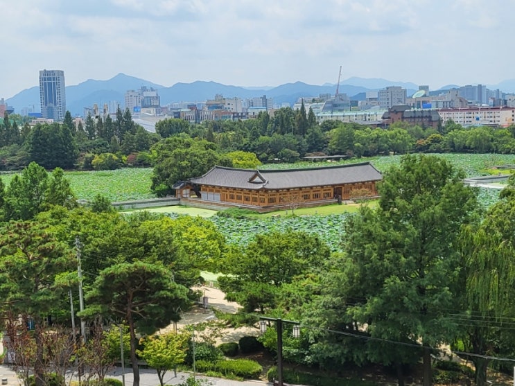  [전주 덕진공원] 덕진공원 연꽃이 보이는  카페 한올