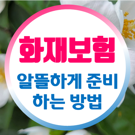  세입자화재보험 비교 및 알뜰하게 준비하는 방법