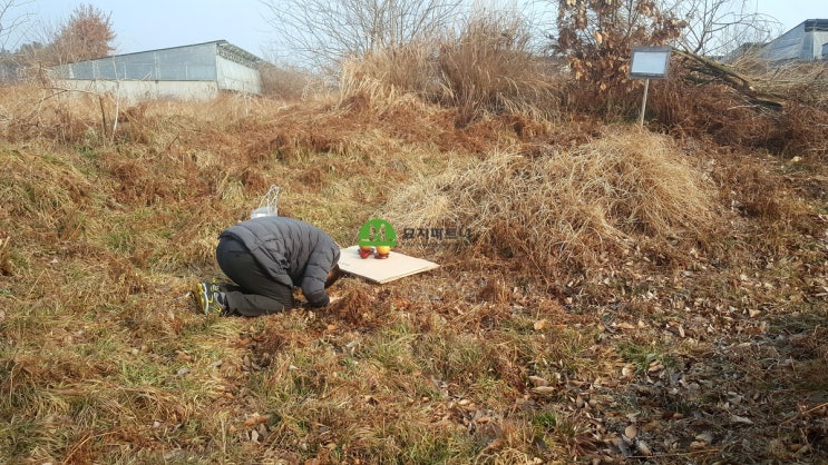  군산 묘지이장 파묘 관리가 안되면 강제이장 전에 계획하세요