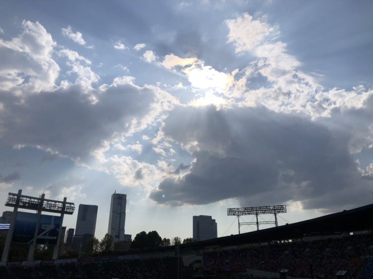  8.23 오늘의 점심 - 오징어 볶음