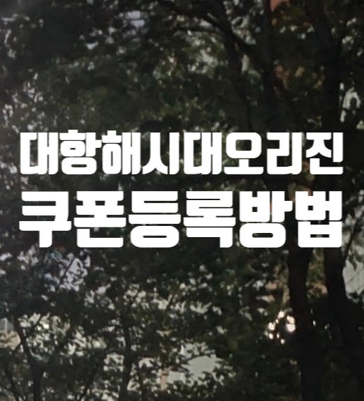 대항해시대 오리진 쿠폰등록방법