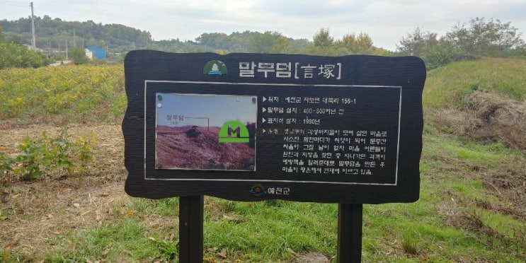  말무덤 언총(言塚) 우리나라 특이한 무덤