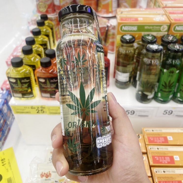  태국 대마초 깐차 마리화나 위드 카나비스 걱정 ㄴㄴ