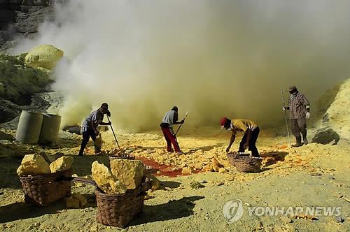 화석연료 사용 줄면 똥오줌 귀한자원 될 수도