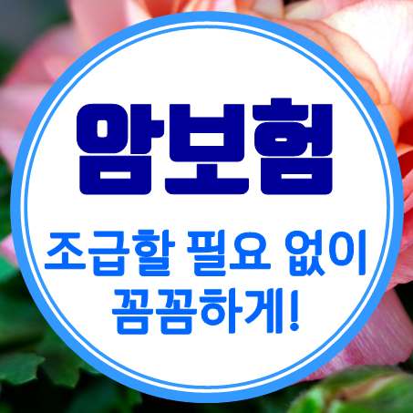  갱신없는암보험 가입, 조급할 필요 없이 천천히 둘러보세요!