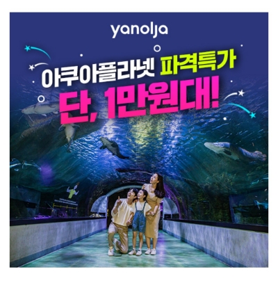  8월 22일 캐시워크 돈버는퀴즈 야놀자 아쿠아플라넷 정답