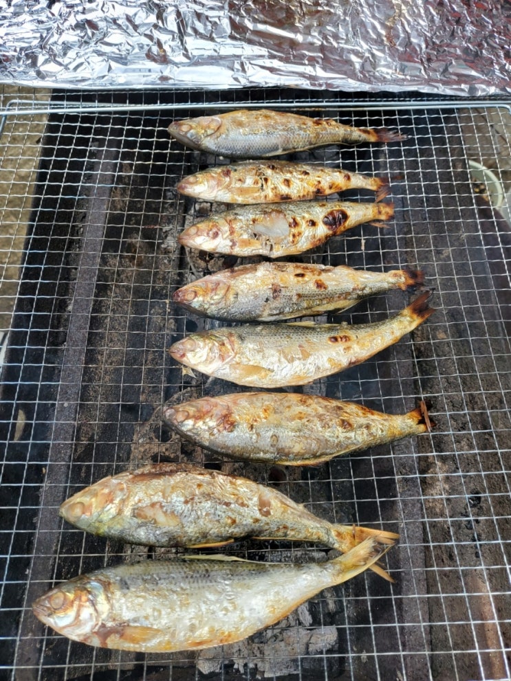  전어구이