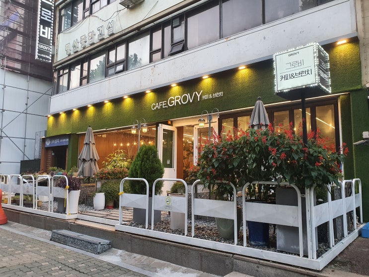  [안산 중앙] 안산중앙역 브런치를 즐길 수 있는 조용한 대형카페 (feat. 식물인테리어) /카페그로비
