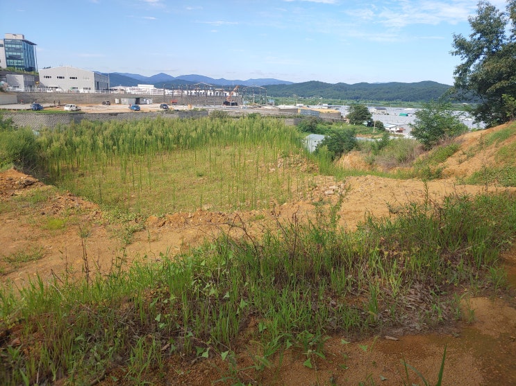  성주 전원주택지/공장용지 매매, 성주군 선남면 1,100평 계획관리 5미터 도로 접 4.6억(평당 42만)
