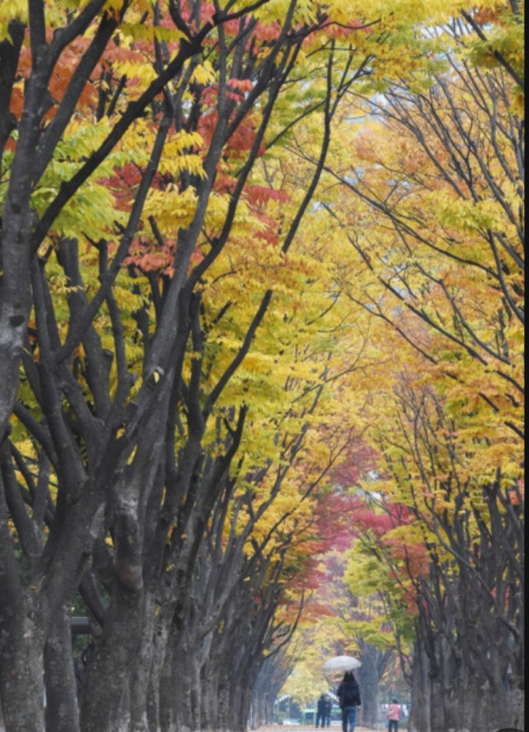  (공감글) 건강한 관계를 위한 '거리두기'