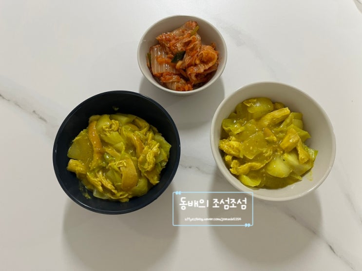  닭가슴살카레