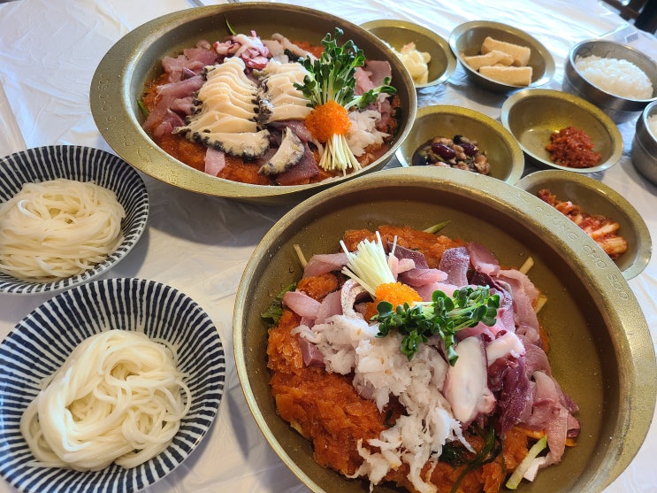  [속초 맛집] 청초수물회