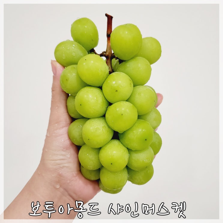  선물용과일 추천 보투아몽드 샤인머스켓