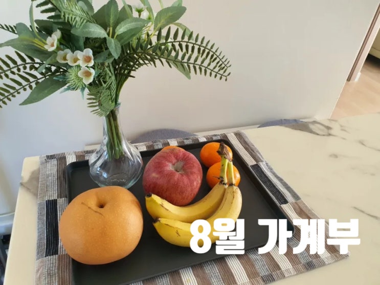  2022년 8월 가계부[1인 가구](2022/7/25~2022/8/24)
