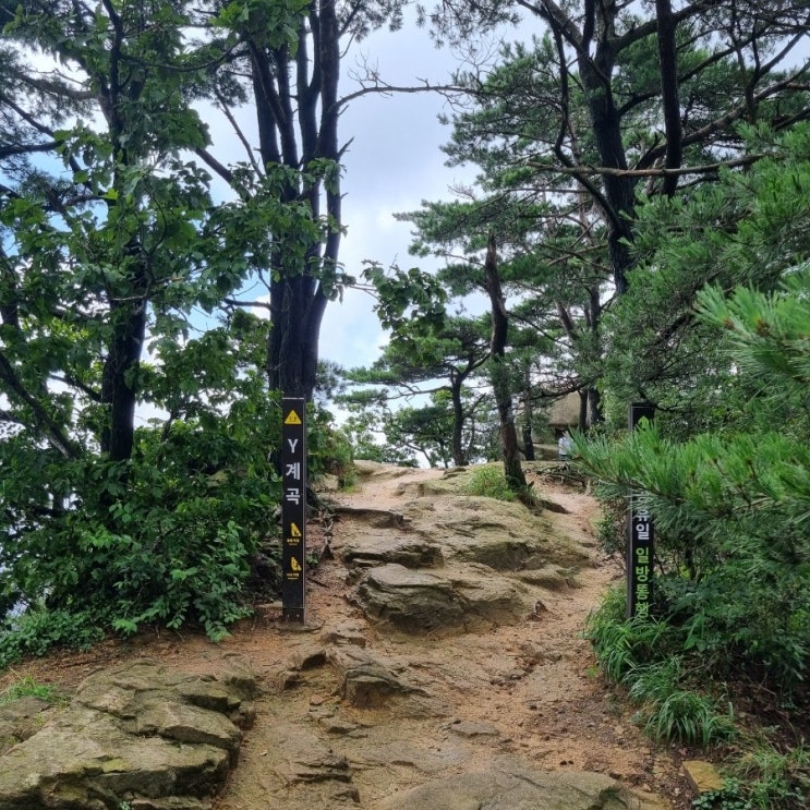  블랙야크 한북정맥 도봉산 Y계곡 코스 인증 방법