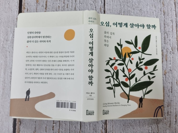  오십 어떻게 살아야 할까 제임스 홀리스 지음