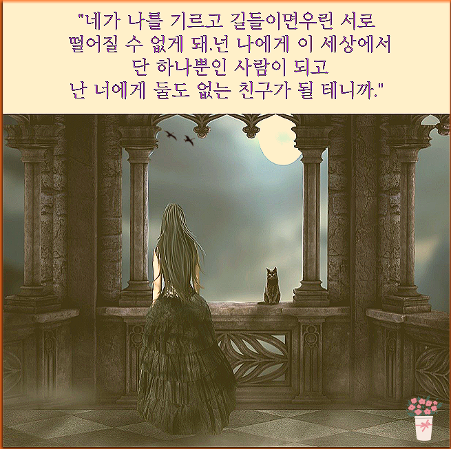  좋은 짧은 추천 외국시 모음: 릴케 "젊은 시인에게 주는 충고" ,오늘의 짧은 인생 감동 명언 모음 365 ,좋은 사랑 감성 짧은 글귀,웃긴 말풍선짤.밈
