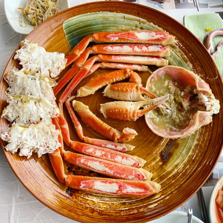 강릉주문진횟집 대게에 물회까지 맛있는 현지맛집 영진횟집