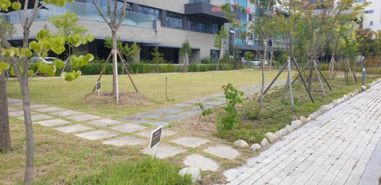  수성구 기업 사옥 정원관리했습니다