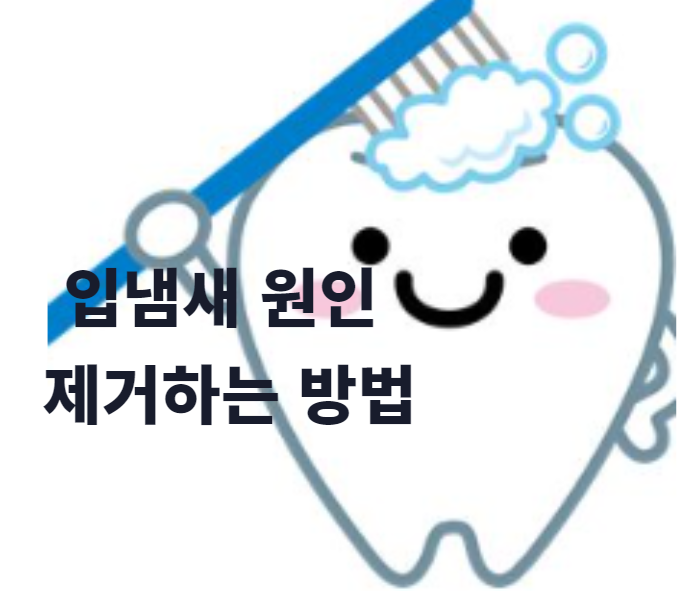  입 냄새 원인과 제거하는 방법