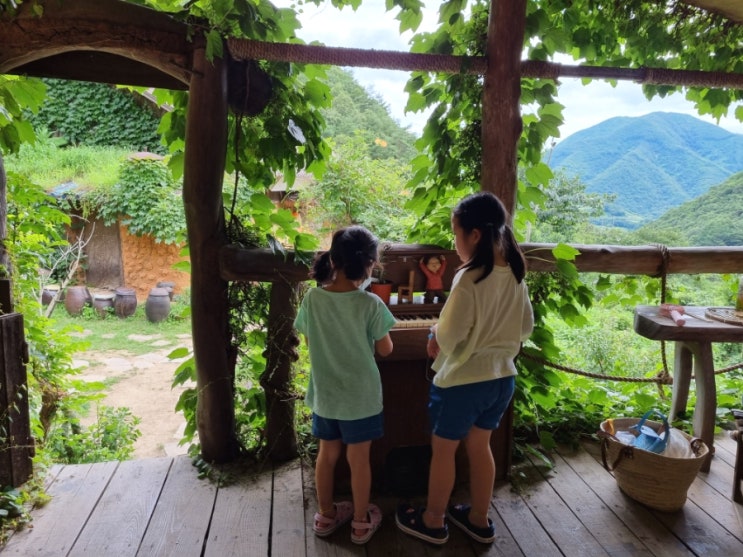  포항 태국 치앙마이 선류산장 디저트 카페 :) SNS 핫플 산골 숲 인스타 사진 찍기 좋은곳!!