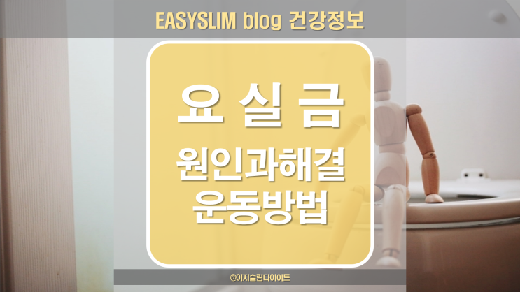  요실금 남모를 고민이라면 해결법 알아보아요!