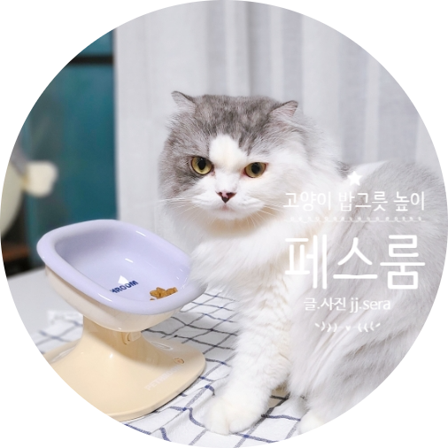 고양이식기 추천 딱 맞는 고양이밥그릇 높이로 사료토가 줄었어요.
