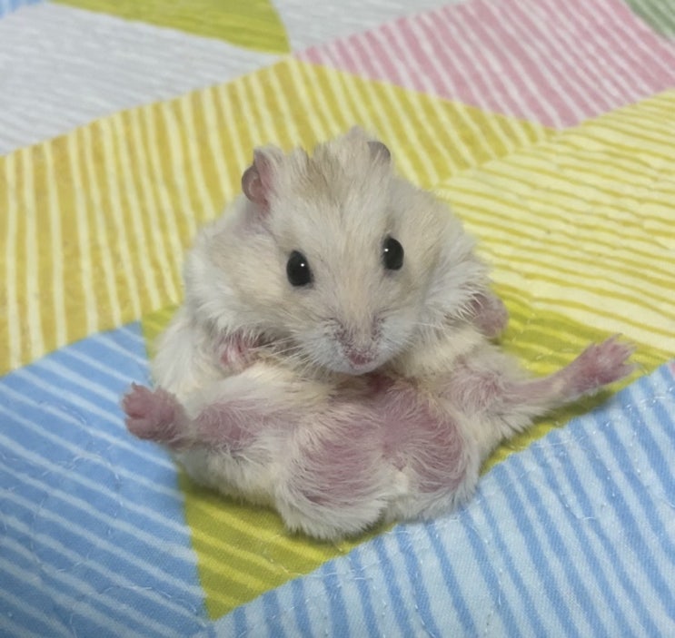  [보이스피싱 후기]등기 보낼테니 확인해보라구요..?| 보이스피싱 검찰청