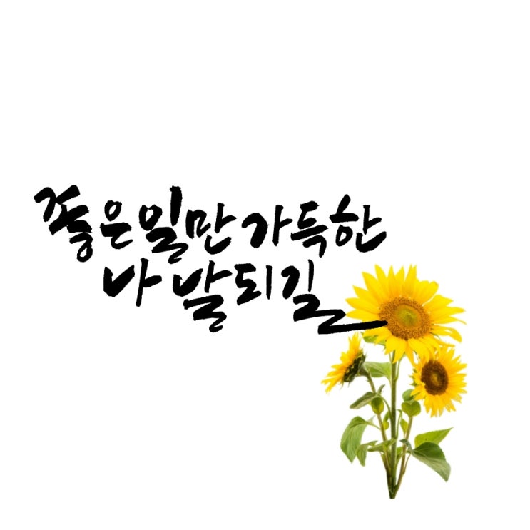  좋은일만