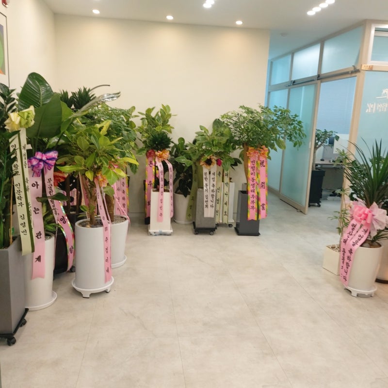울산 전관 형사 변호사 박지연