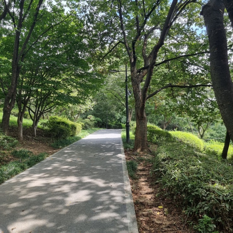  남산 야외식물원과 남산 서울타워