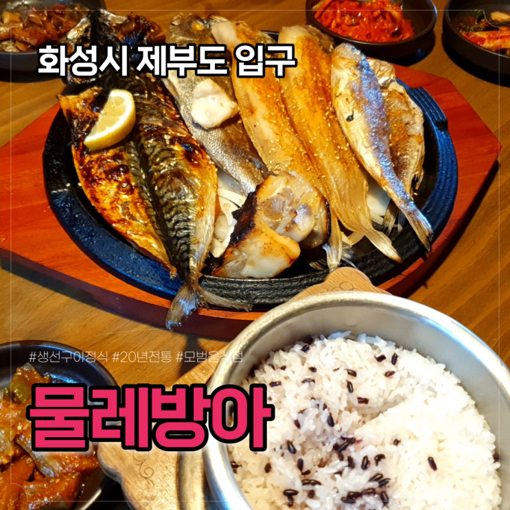  물레방아, 생선구이정식 먹고 제부도 제비꼬리길 해안로 산책하기