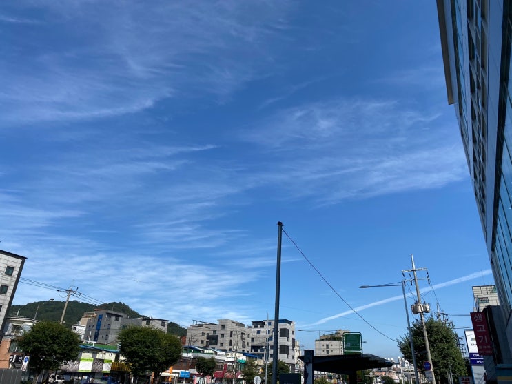 부동산 입지 - 교통망 부동산 입지 - 교통망