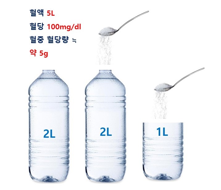 늦은 밤의 가짜 배고픔, 혈당조절 그리고 의지력과 식욕중추의 싸움