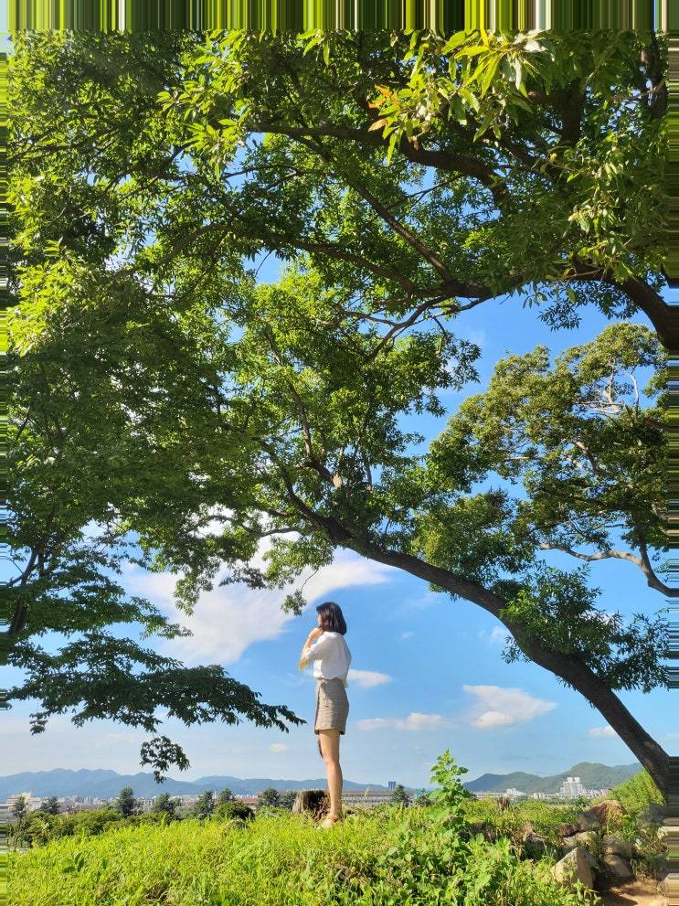  경주 :) 첨성대 & 료미 (경주 황리단길 맛집 애견 동반 가능한 일식당)