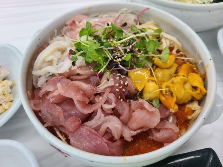  [내돈내산] 나의 속초 물회 맛집 선택은 속초 항아리 물회 vs 청초수물회 vs 봉포머구리